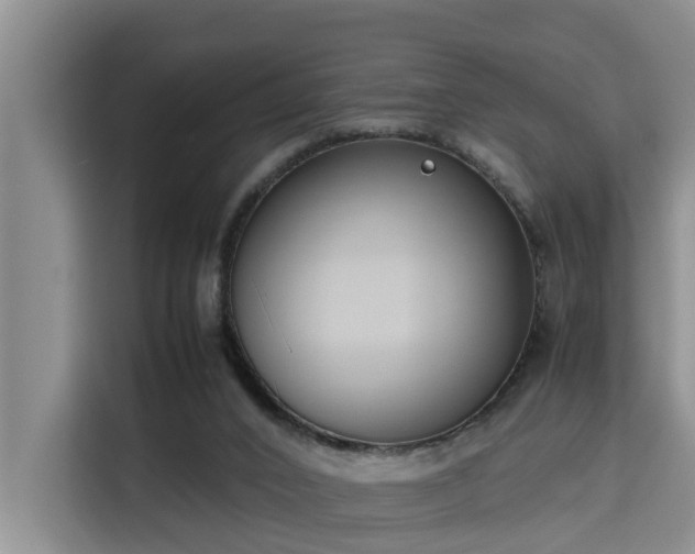 X0000115720016200911191401