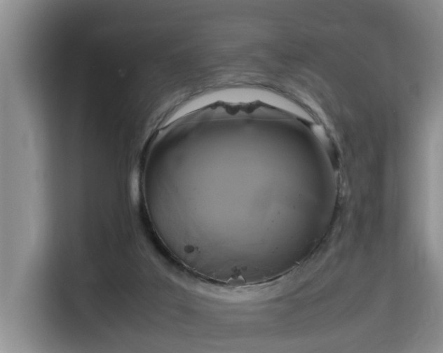 X0000115720019200911191401