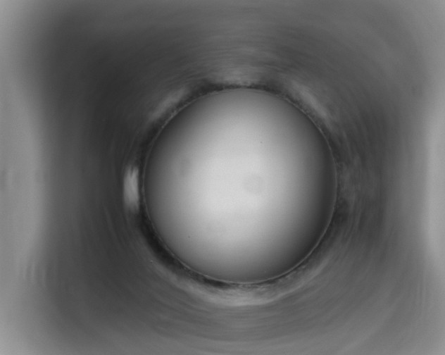 X0000115720020200911191401