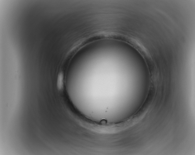 X0000115720024200911191401