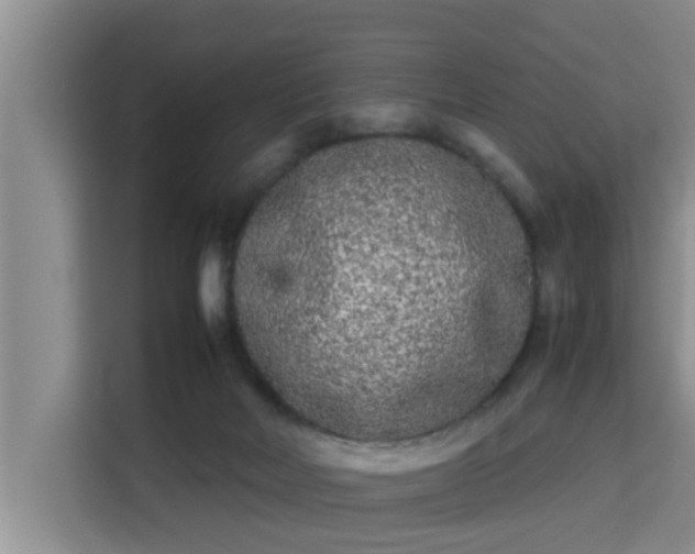 X0000115720026200911191401