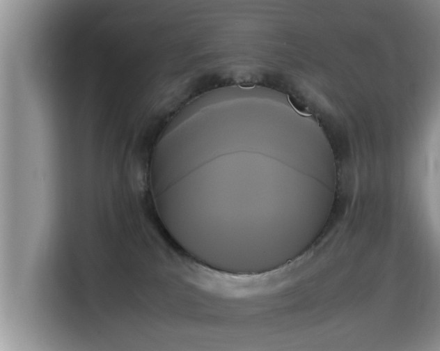 X0000115720039200911191400