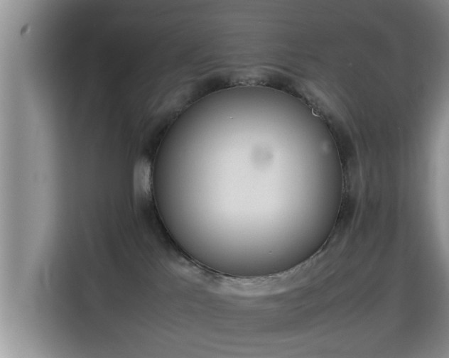 X0000115720041200911191400