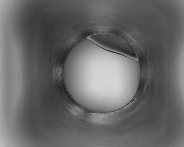 X0000115720045200911191400