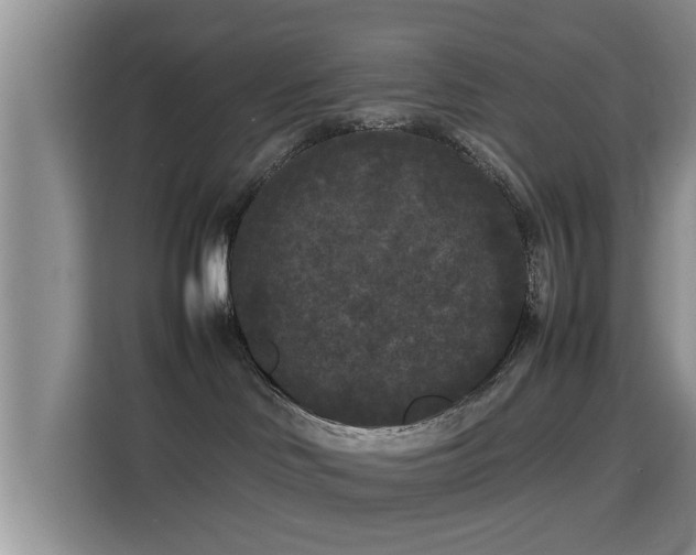 X0000115720046200911191400