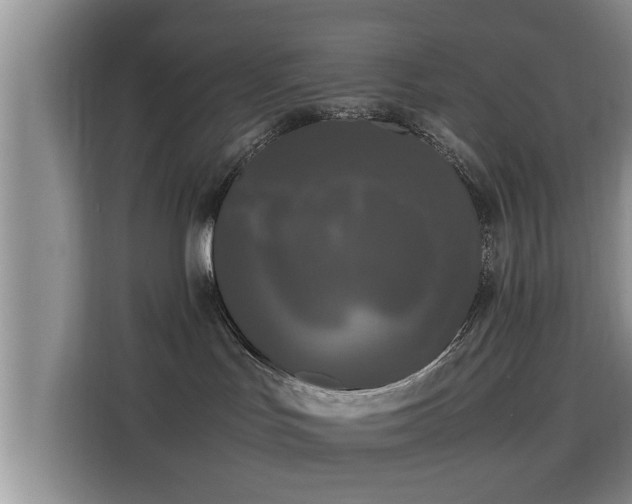 X0000115720047200911191400