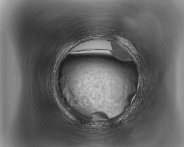 X0000115720049200911191400