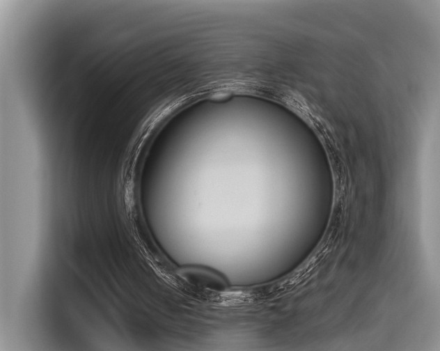 X0000115720050200911191400