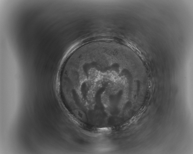 X0000115720053200911191400