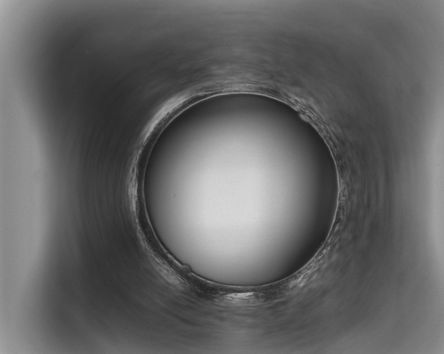 X0000115720054200911191400