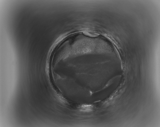 X0000115720055200911191400