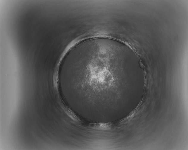 X0000115720056200911191400