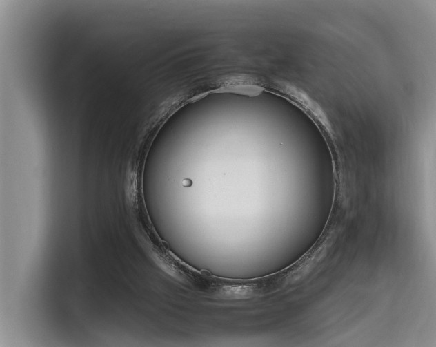X0000115720057200911191400