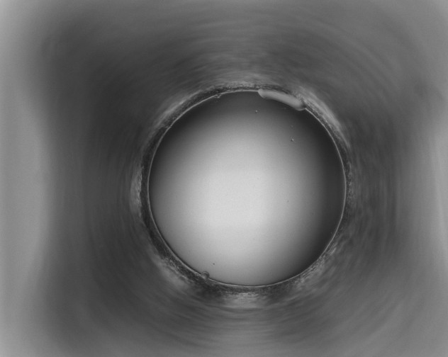 X0000115720058200911191400