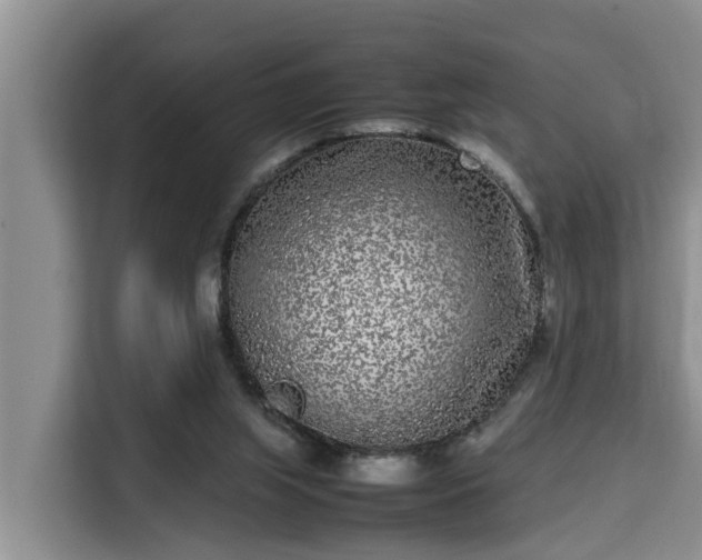 X0000115720063200911191400