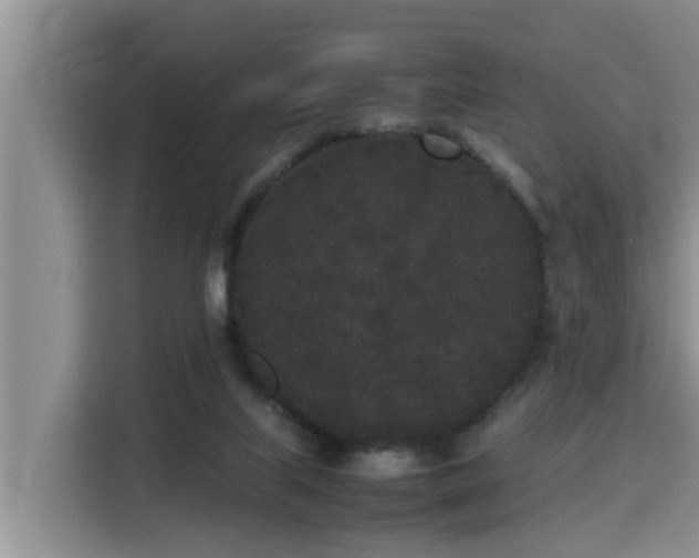 X0000115720067200911191400