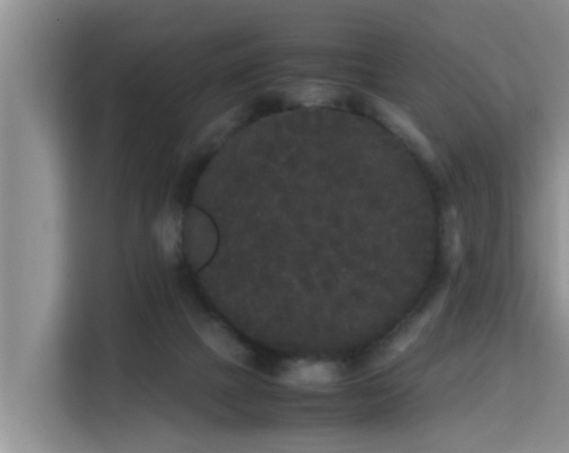 X0000115720073200911191400