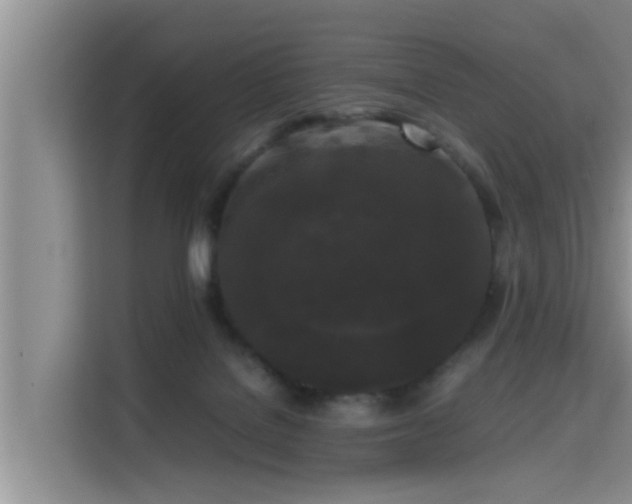X0000115720076200911191400