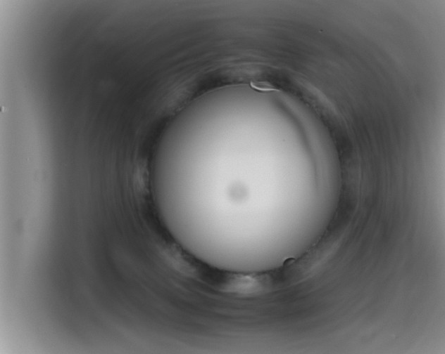 X0000115720083200911191400