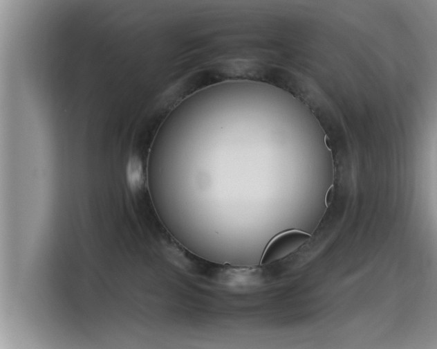 X0000115720089200911191400