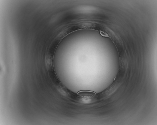 X0000115720091200911191400