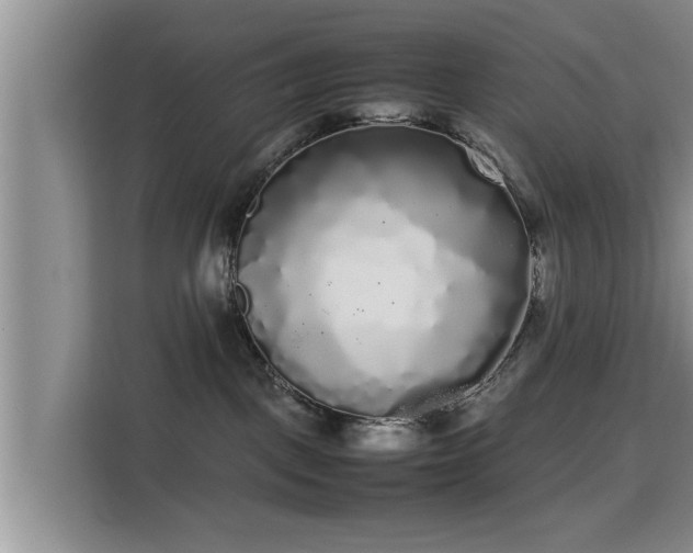 X0000115720093200911191400