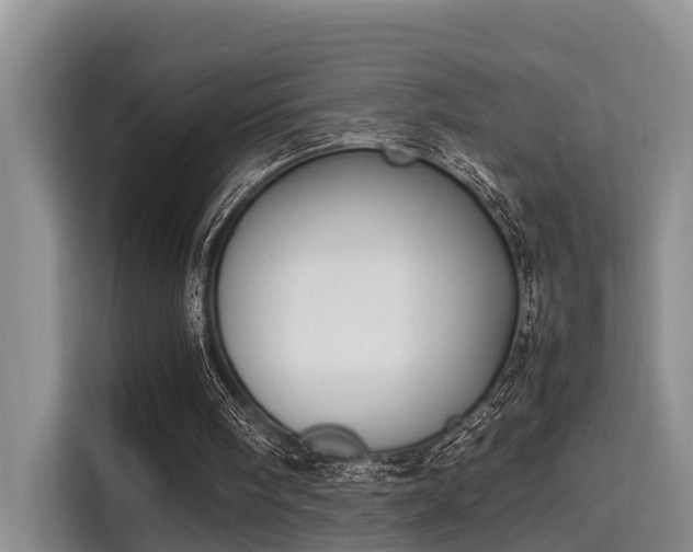 X0000115720098200911191359