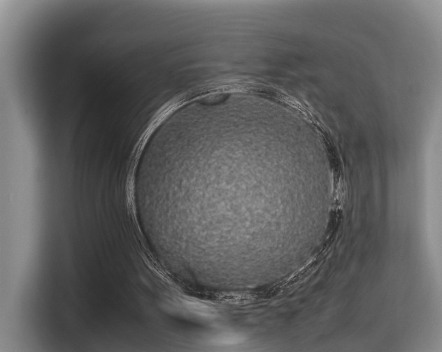 X0000115720099200911191359