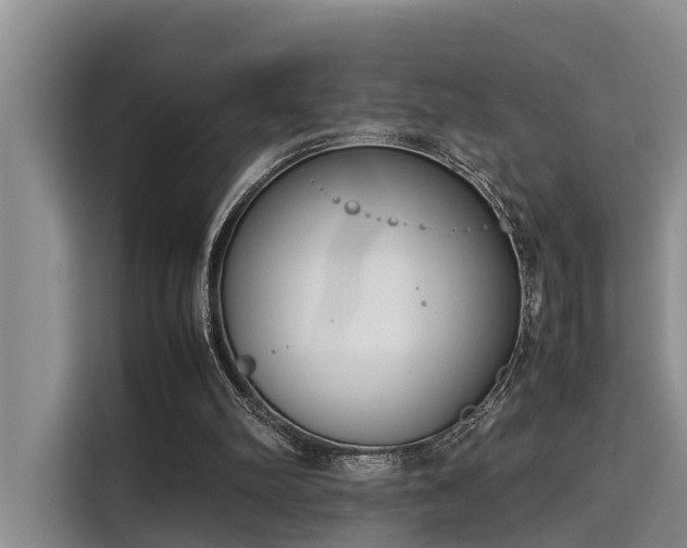 X0000115720102200911191359