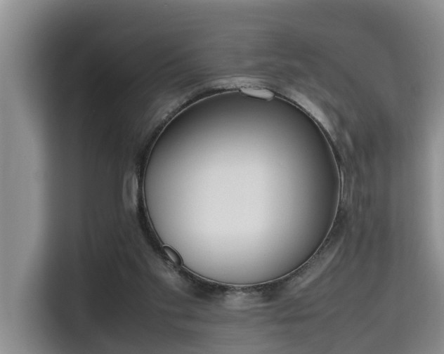 X0000115720109200911191359