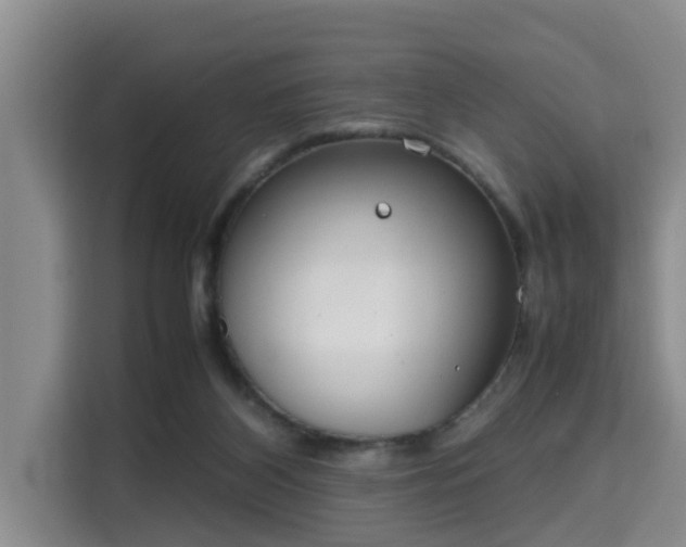 X0000115720116200911191359