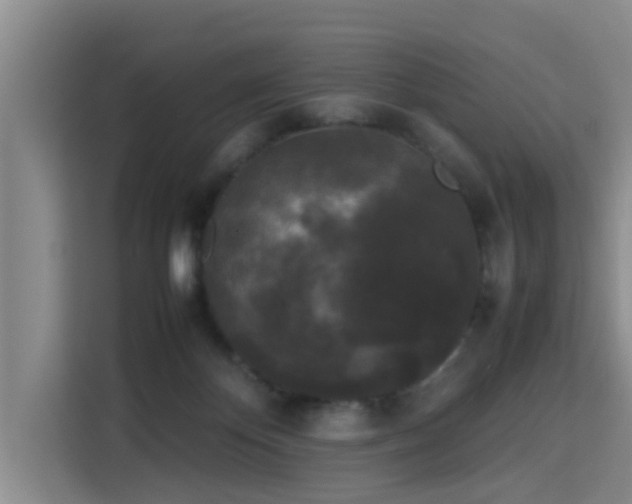 X0000115720124200911191359