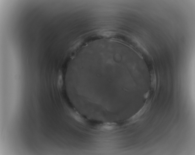 X0000115720128200911191359