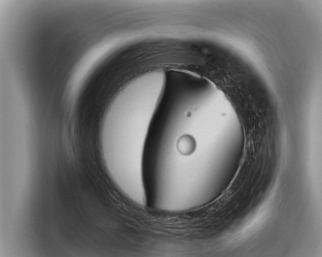X0000115720146200911191358