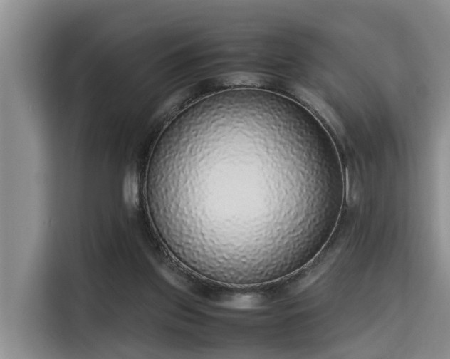 X0000115720157200911191358
