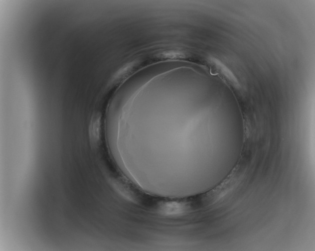 X0000115720163200911191359