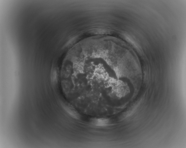 X0000115720165200911191359