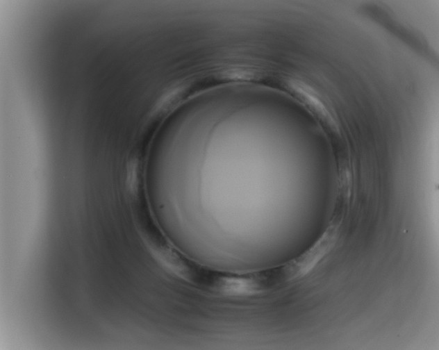 X0000115720167200911191359