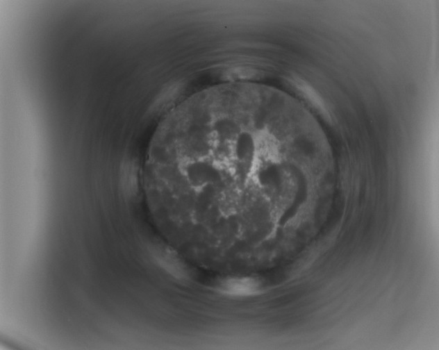 X0000115720169200911191359