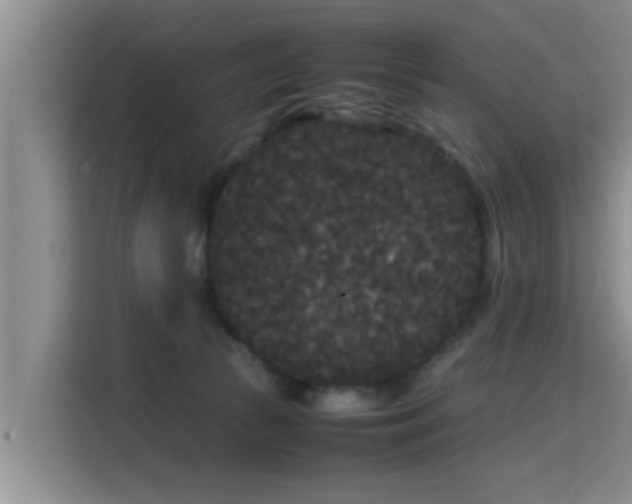 X0000115720177200911191359