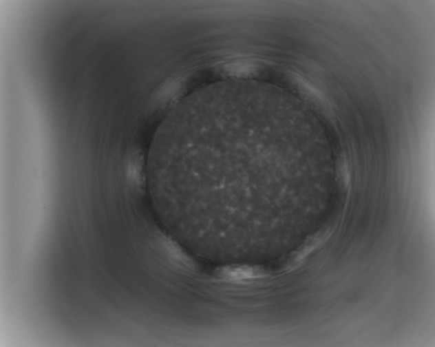 X0000115720181200911191359