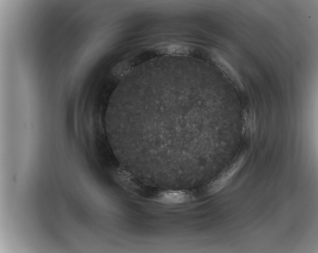 X0000115720189200911191359