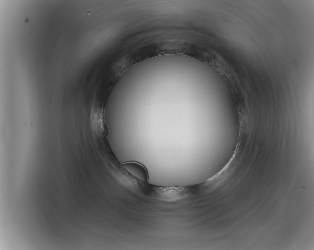 X0000115720191200911191359