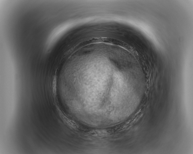 X0000115720194200911191358