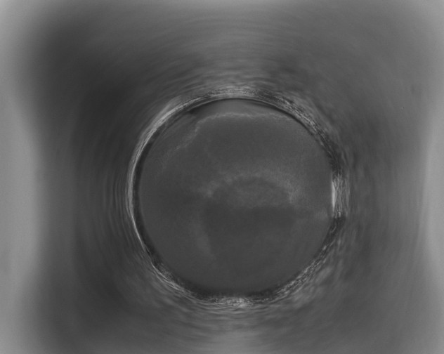 X0000115720195200911191358