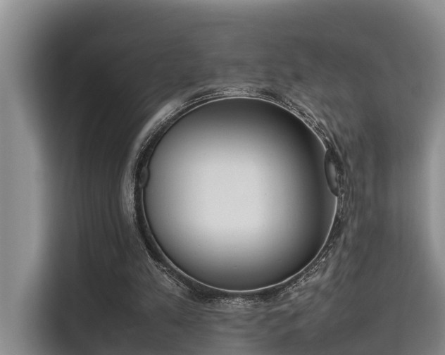X0000115720197200911191358