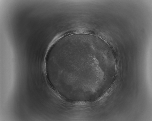 X0000115720198200911191358