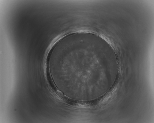 X0000115720199200911191358