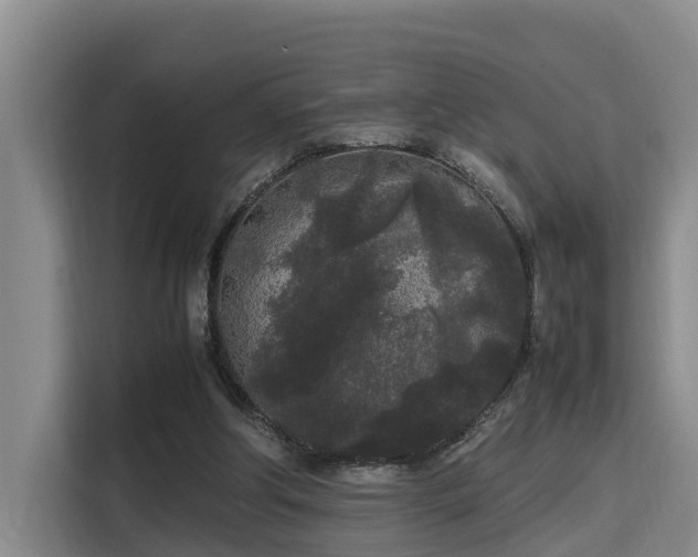 X0000115720202200911191358