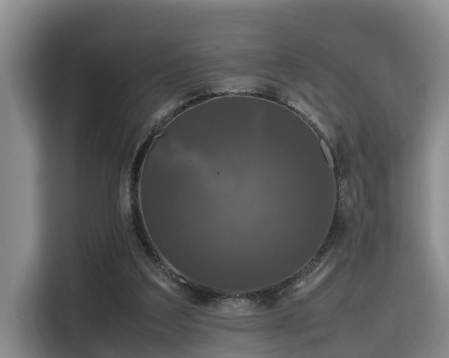 X0000115720203200911191358